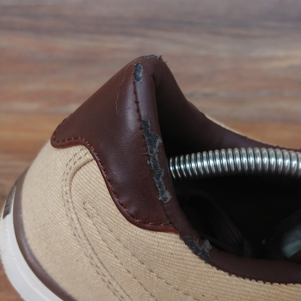 COOGI Sneakers - Picture 11 of 14